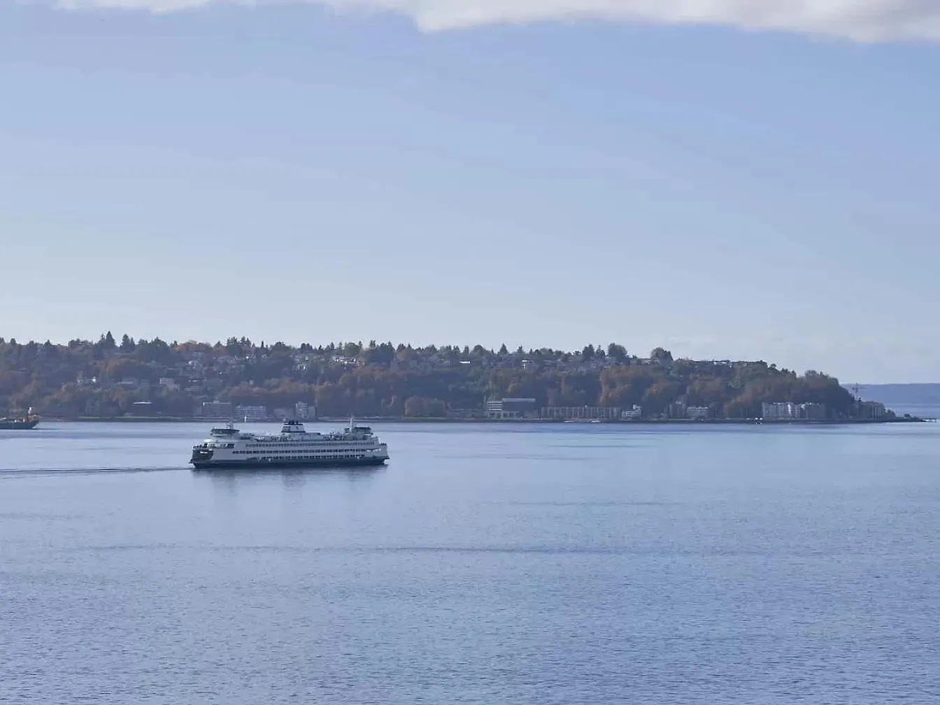 Apartment Luxury 1Bedroom 1Bath Ferris Wheel Water Views Seattle